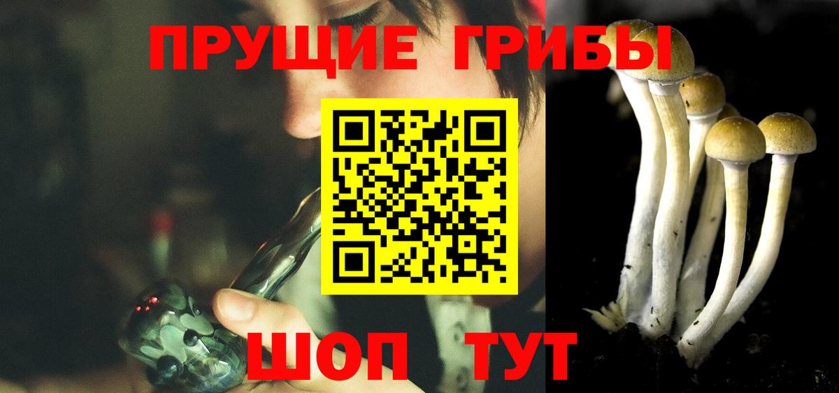 Псилоцибиновые грибы Psilocybe Железноводск